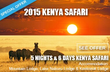 Special Offer Nakuru